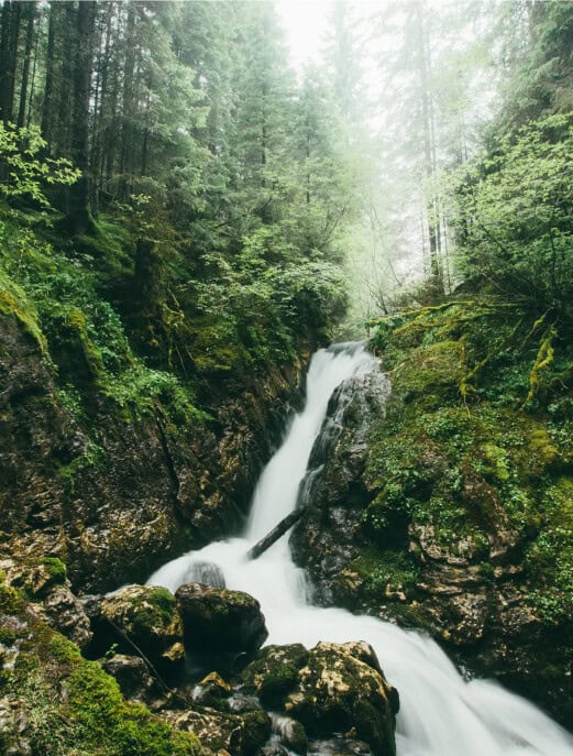 rushing waterfall in lush green forest