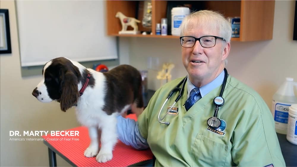 Virox Technologies Inc. Companion Animal Facilities