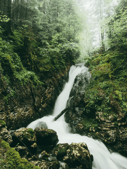 rushing waterfall in lush green forest