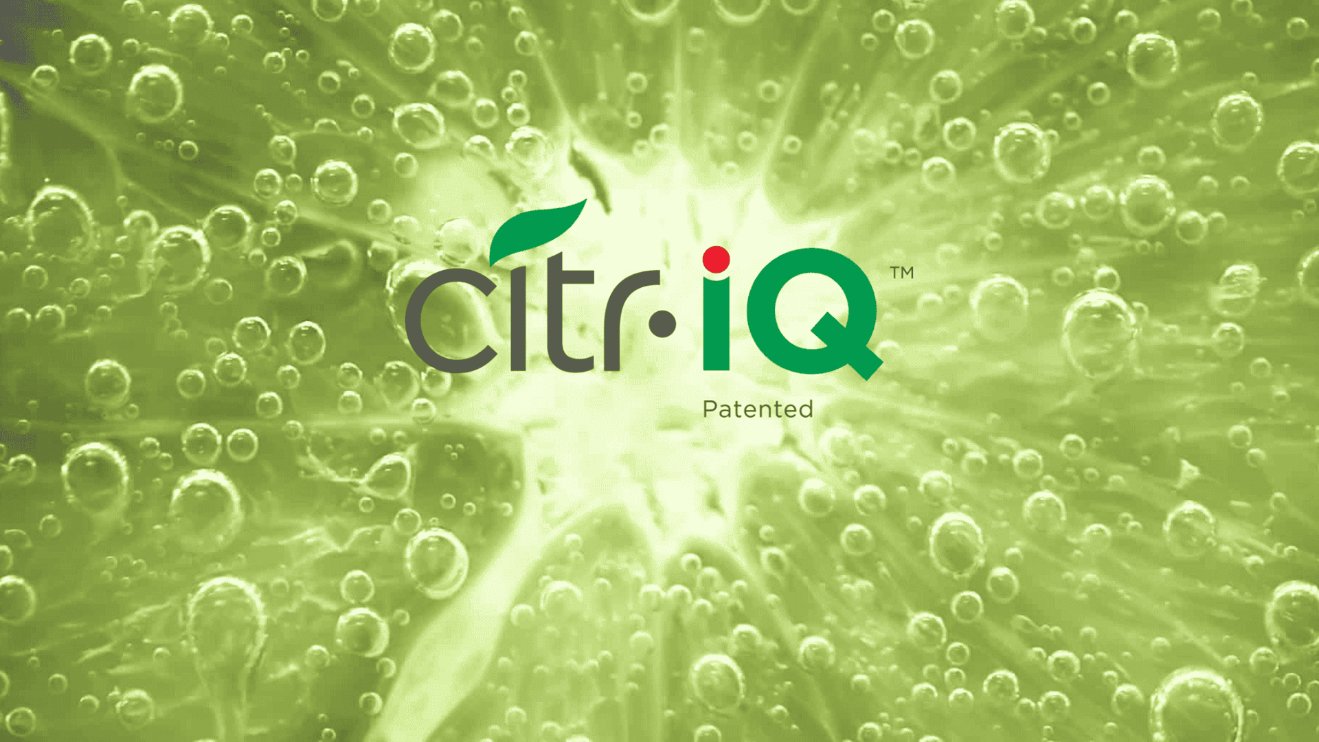 Citr-IQ<sup class=