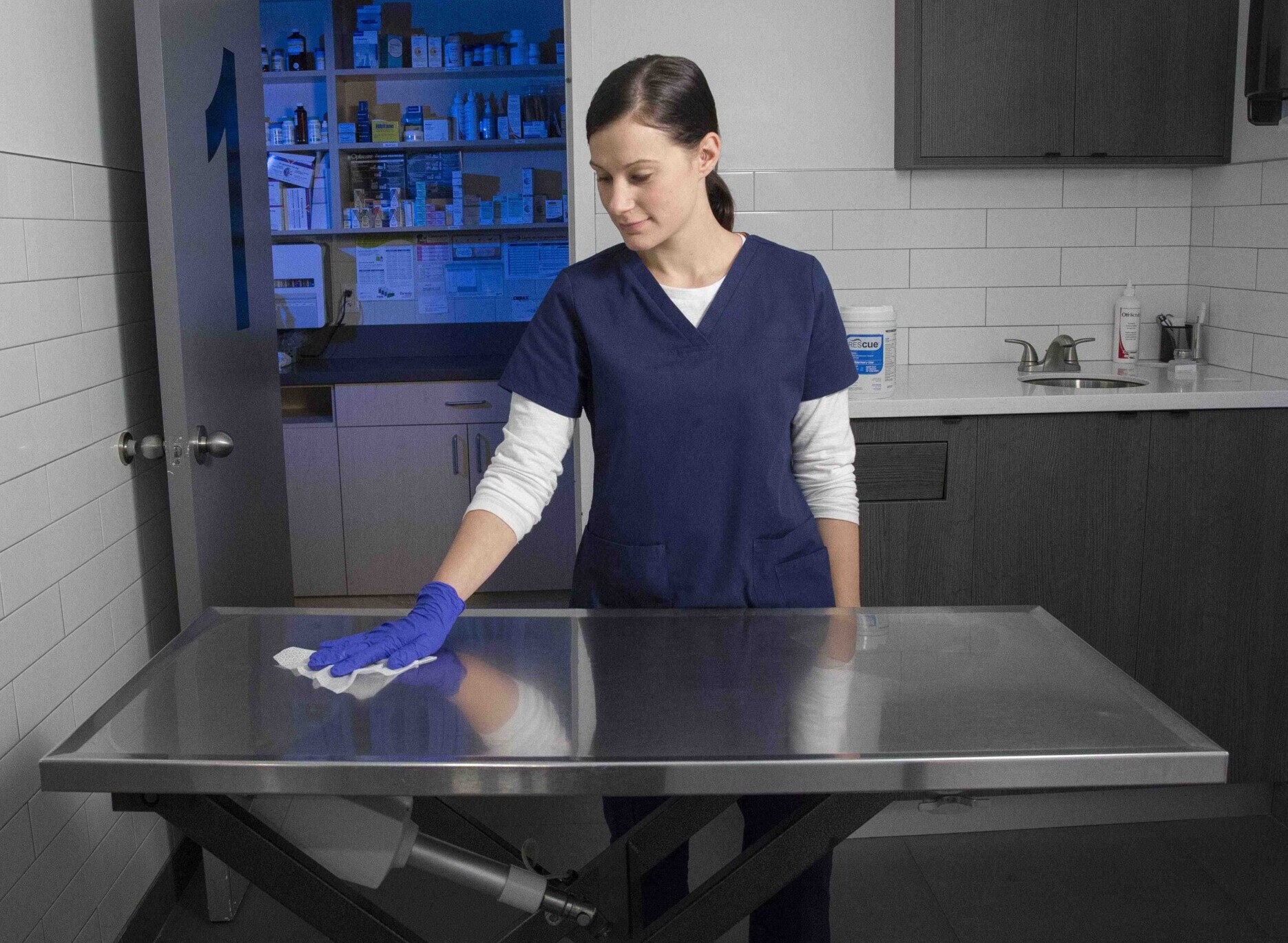 Veterinary professional wearing gloves cleaning an exam table in a veterinary clinic.